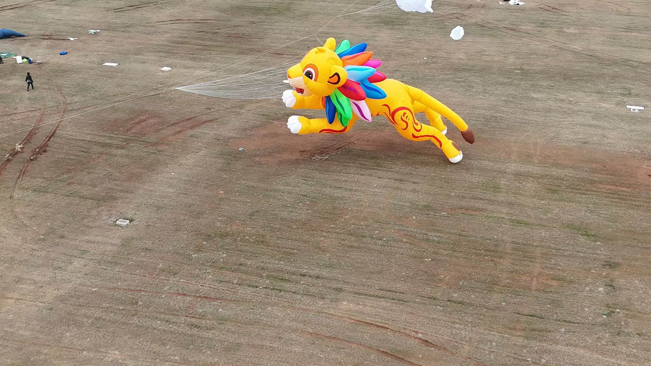 宜宾市品牌风筝定制宣传风筝定制 - 一站式服务