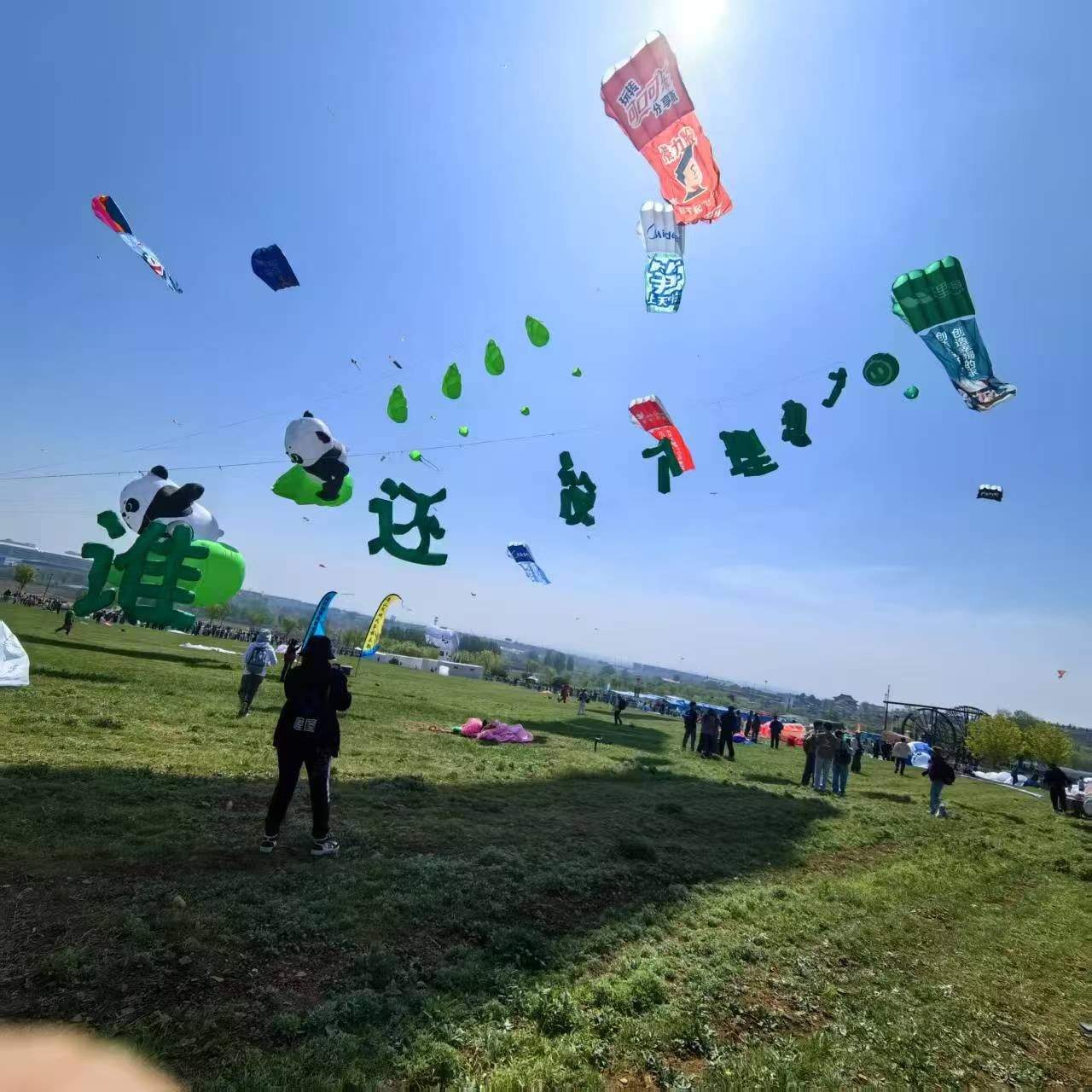 宜宾市风筝加工风筝定制 - 哪里好